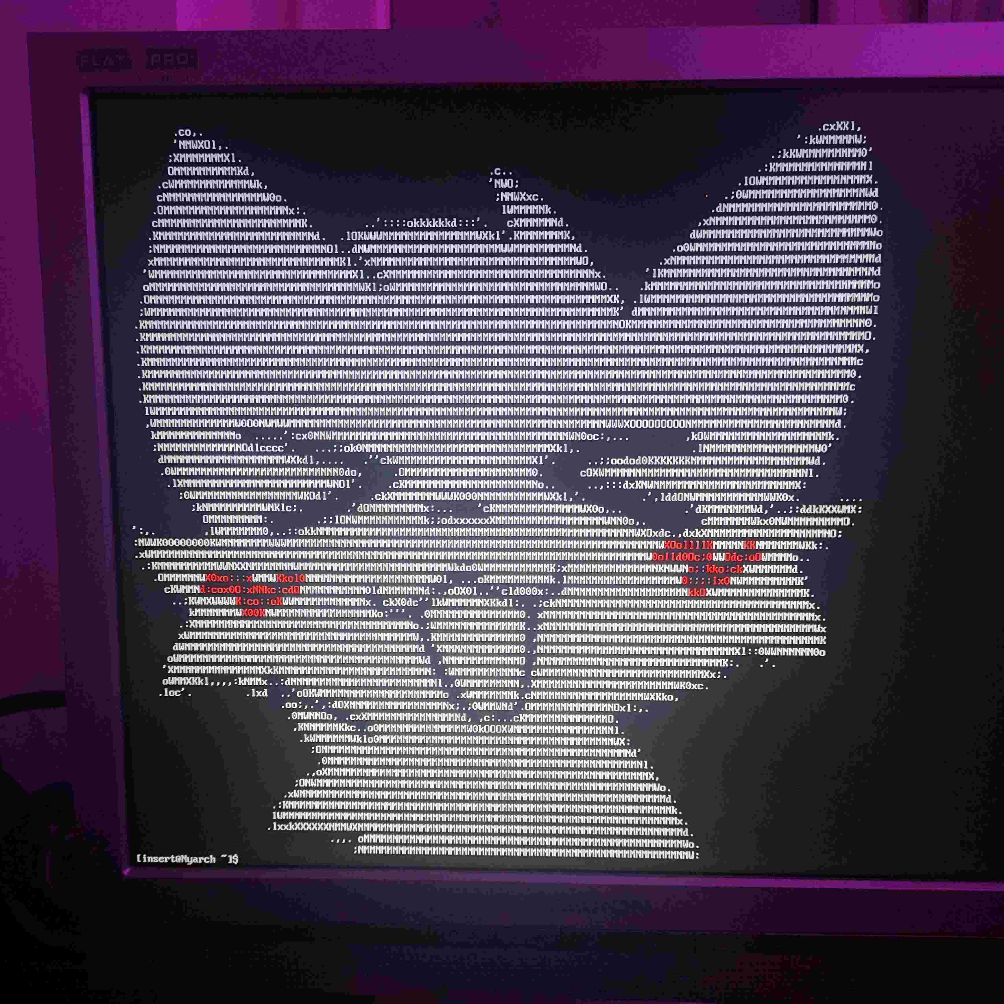 ASCII art of boykisser on a 5:4 screen with purple lighting